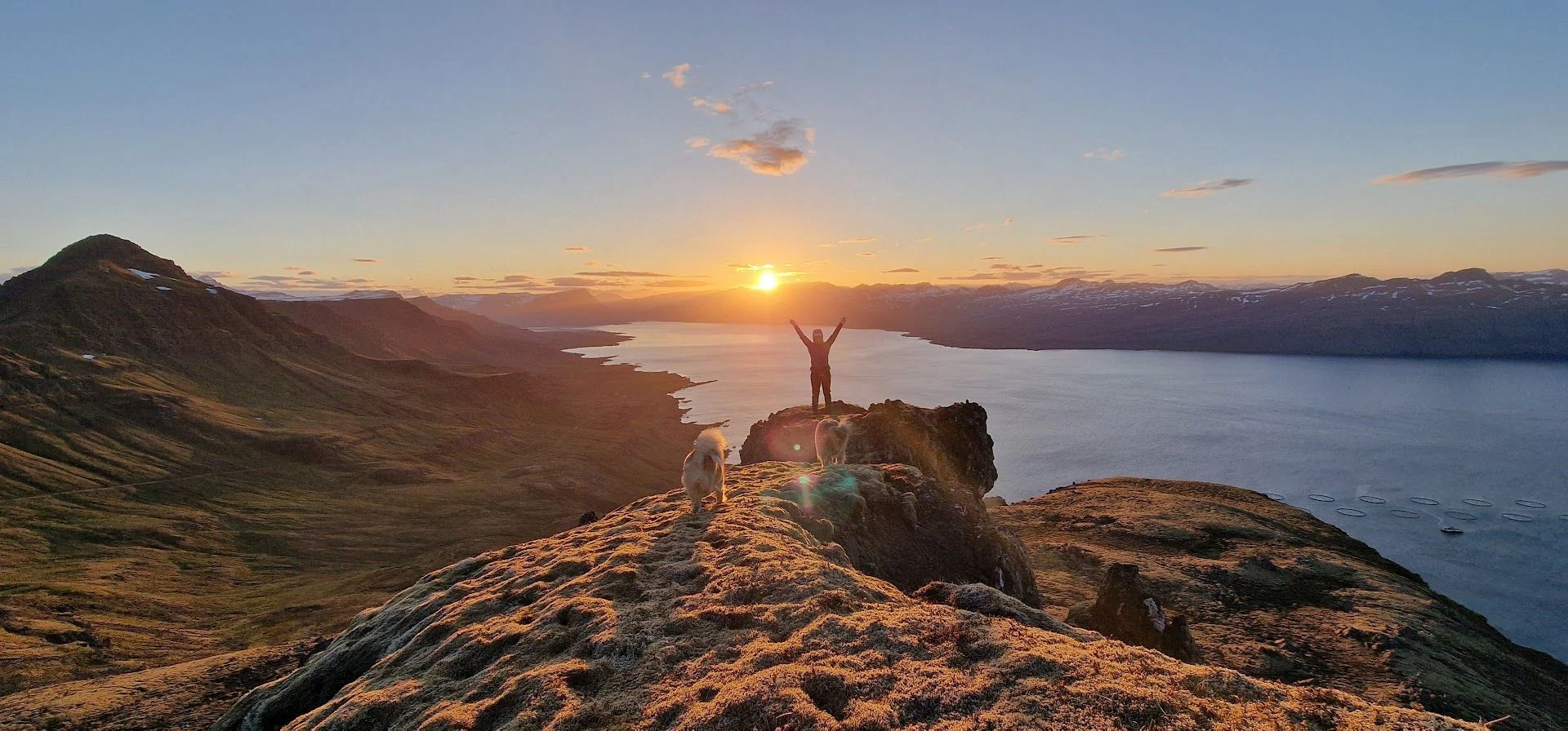 A person and two dogs overlooking an East Iceland fjord at sunset